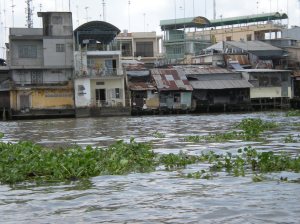 Mekong Delta