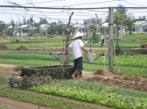 Tra Que Vegetable and Herb Village, Hoi An